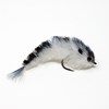Finesse Changer Fly Shad
